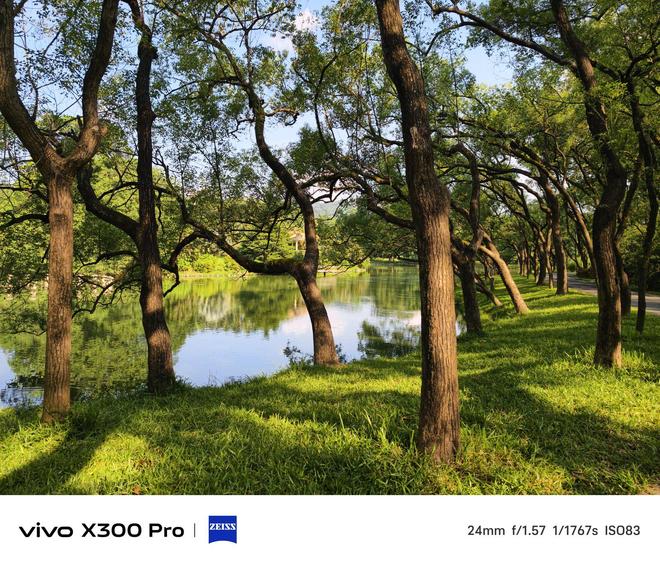 vivo X300 Pro评测：影像与性能的双重越级(图3)