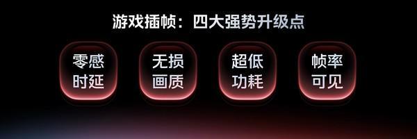 九游app：iQOO 13展示最新电竞性能技术：自研电竞芯片Q2+2K Q10珠峰屏(图5)