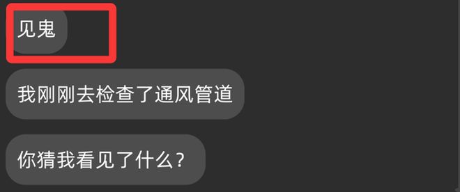 用纯文字的方式做了一次游戏对话交互的教程示范(图6)