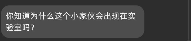 用纯文字的方式做了一次游戏对话交互的教程示范(图11)