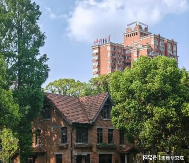 上海理工大学怎么样？当AI遇上《黄帝内经》？AI给你开方！(图3)